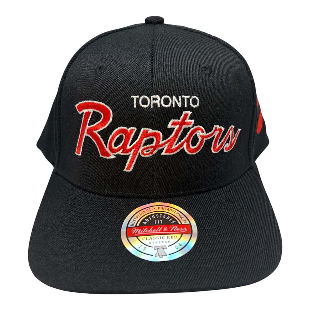 Mitchell & Ness Toronto Raptors Team Script 2.0 Stretch Snapback Hat Cap